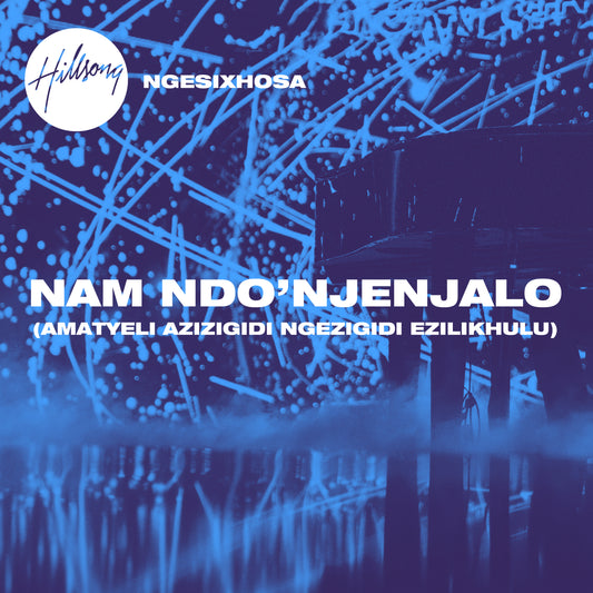 Nam Ndo'njenjalo (Amatyeli Azizigidi Ngezigidi Ezilikhulu) - Single